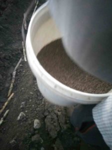 mmi-suagrcane-reget-and-urea-fertilizer