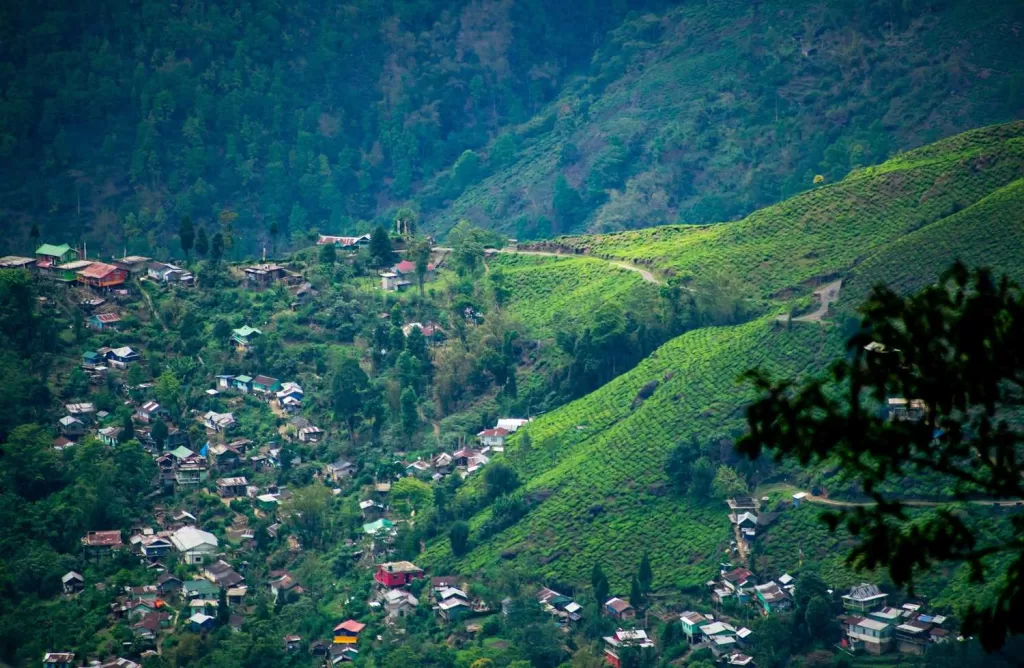 Best Tourist Places in India in 2024 - Darjeeling-mymixindia.com_.jpg